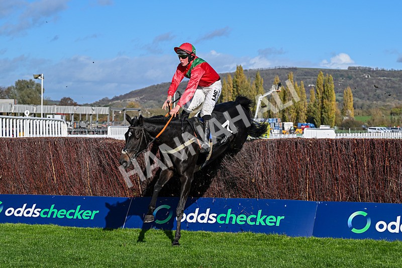 241025-Race 2-Cloonainra-2619 - Race 2