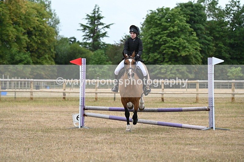 WJ6_0181 - Class 13 Novice Jumping 60cm