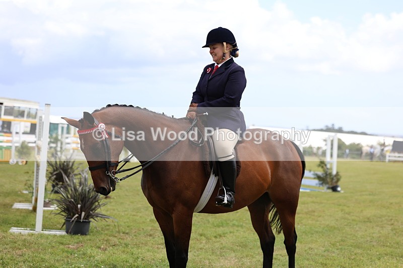 3E7A1249 - Class 8: Open Riding Horse/Hack