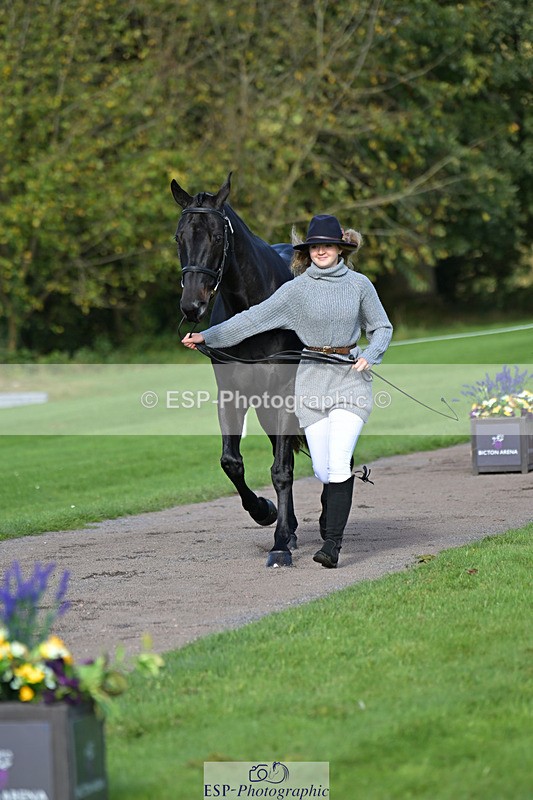 241023-130214-00034 - 002-Ellie.Fredericks-BRITANNIA'S.OLIVE