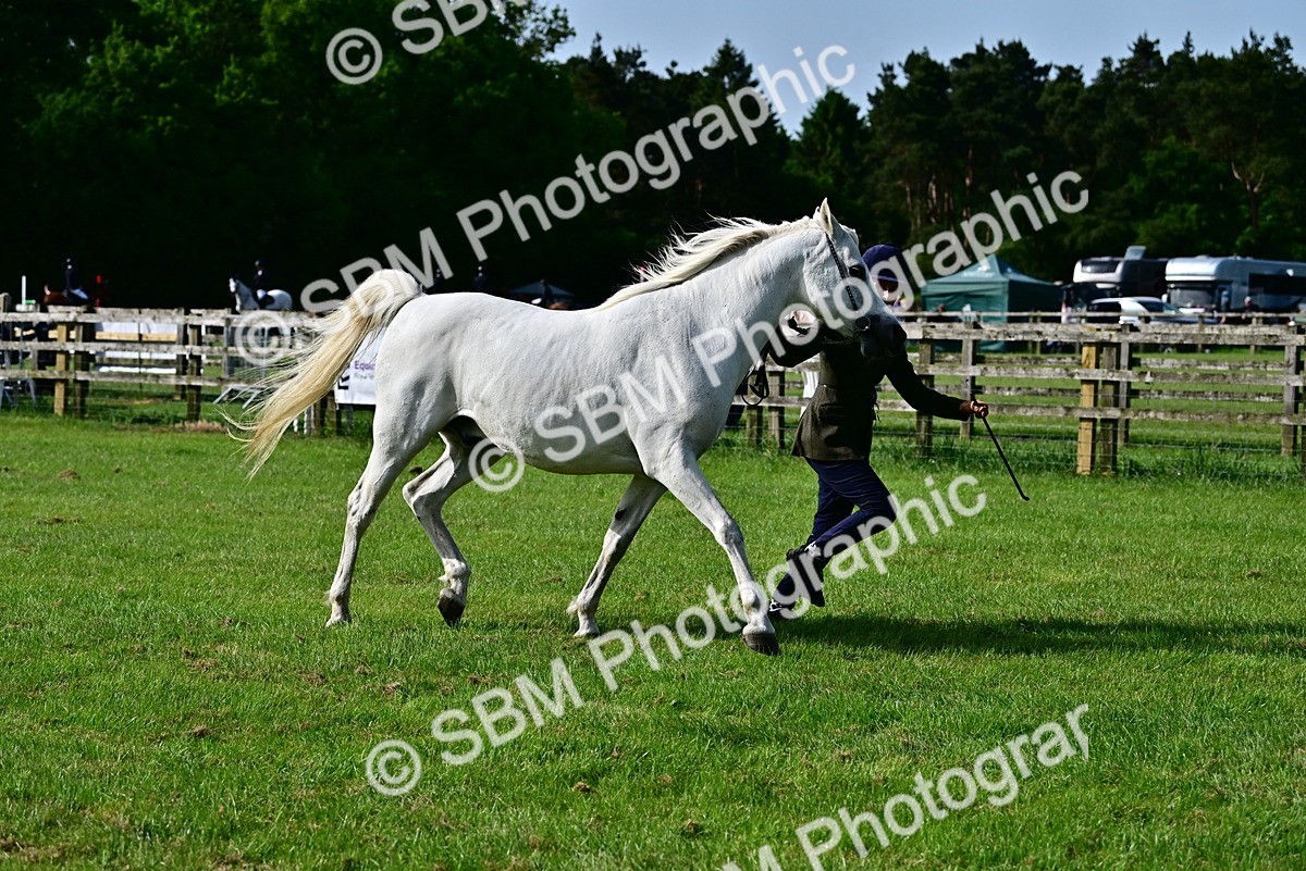 SBM_01047