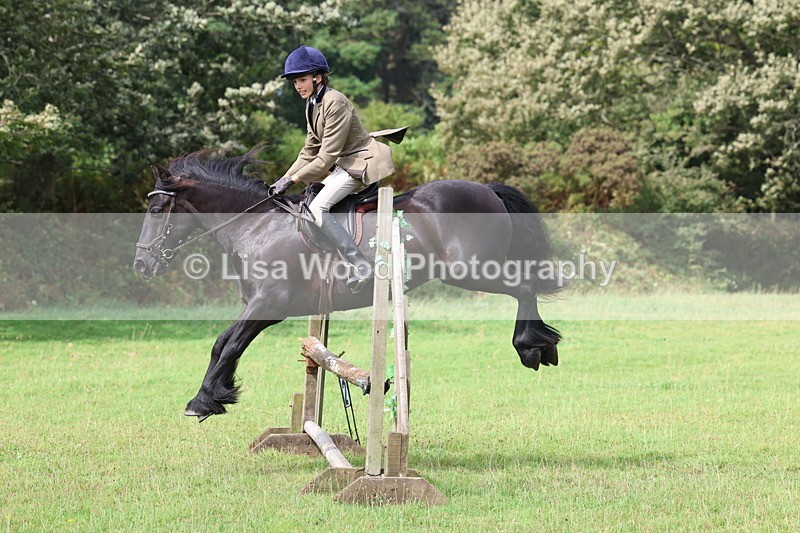 3E7A5806 - Class 26 and 27: 70cm Working Hunter