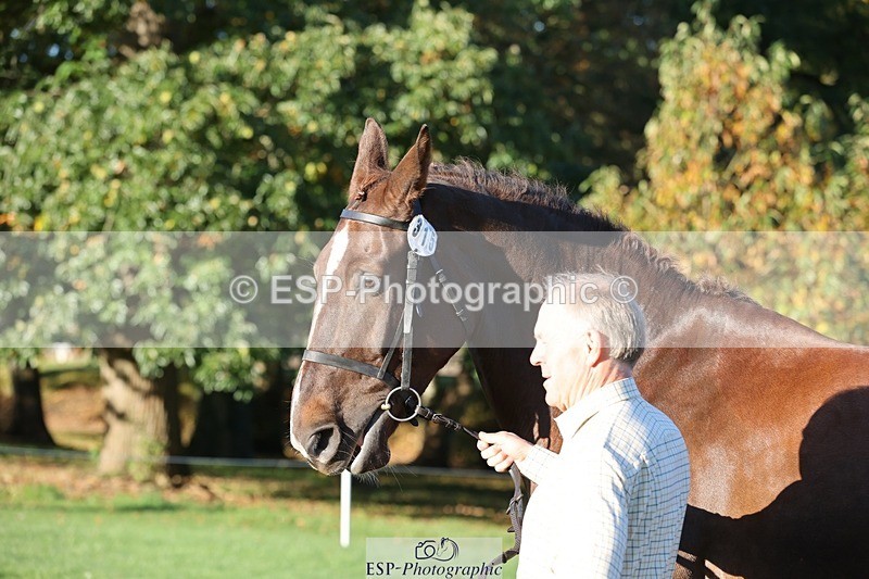 241027-084509-14796 - 315-Andrew.Winterton-STALLONE