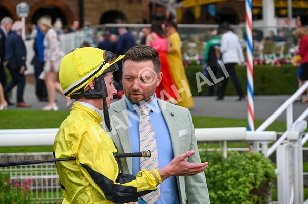 230923-Race 3-Politico-3119 - Race 3 3.10pm Happy 60th Birthday Angela Clark Nursery Handicap