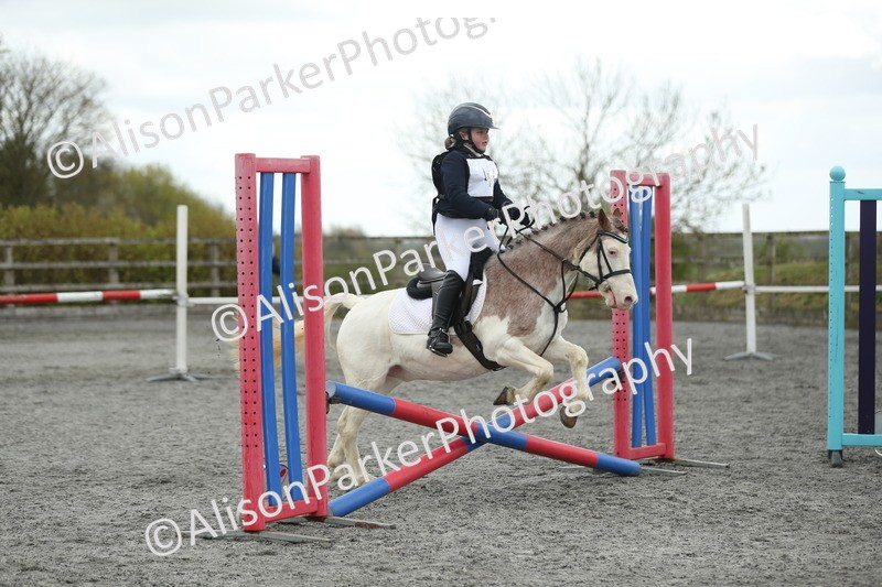 20260412-0673 - Show Jumping
