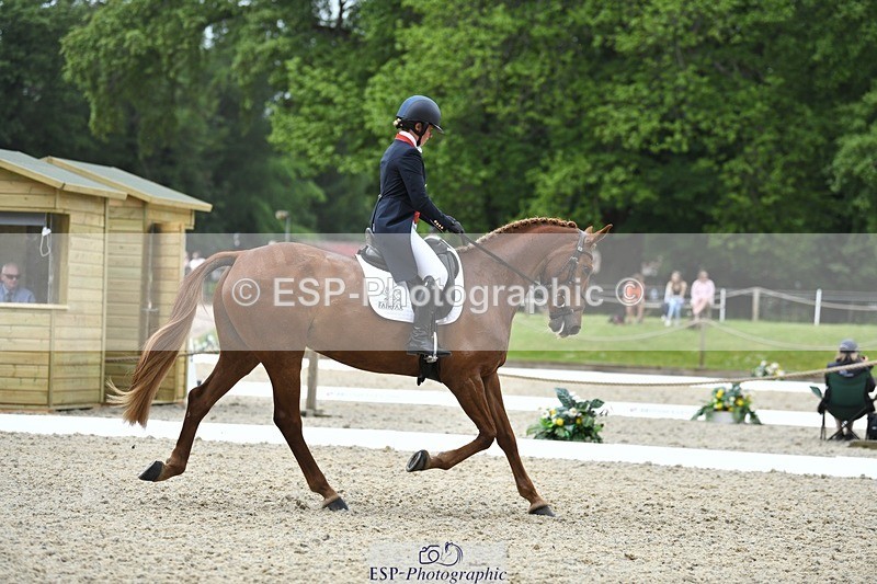 230525-125416-02054 - 112-BILLY_MAPLE-Kitty_King-WEDTrotUp+DR