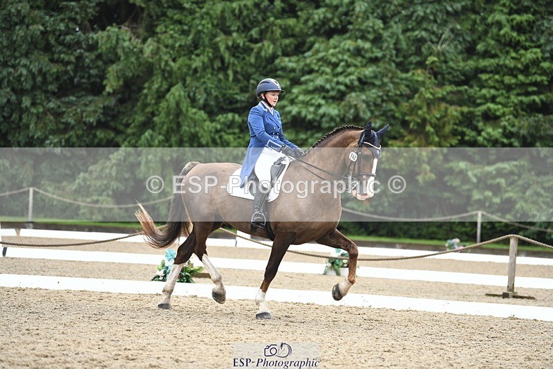 240720-160321-06367 - 142-Amberley_Pugsley-Hero_A