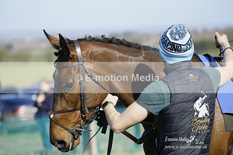 PtP 260222 06 - Kingston Blount Racing Club Point-to-Point 26/02/22