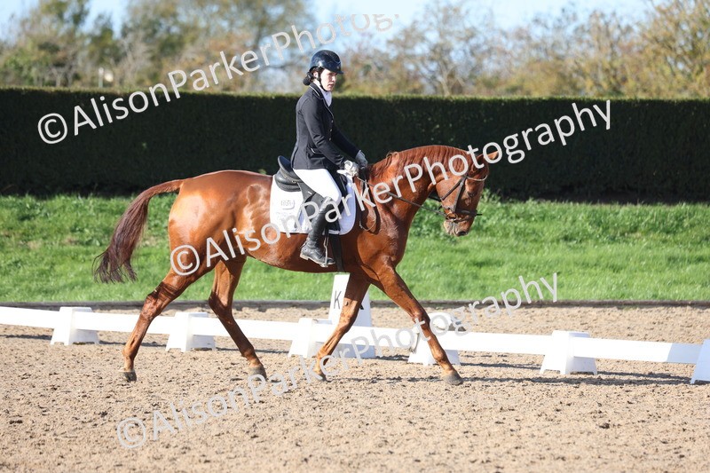 20251102-0585 - Class 4 - Novice 6