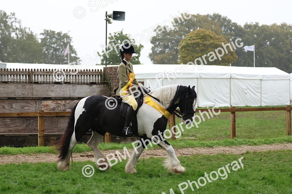 SBM_73113 - Ridden Pony Supreme Championship