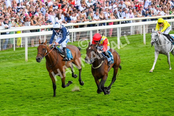 290723-Race 5-Baez-0832 - Race 5 4.35pm Sky Bet Prize Drop Handicap