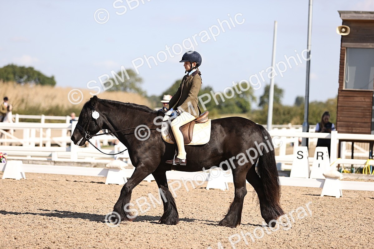 SBM_03480 - CLass 35 Intro 3