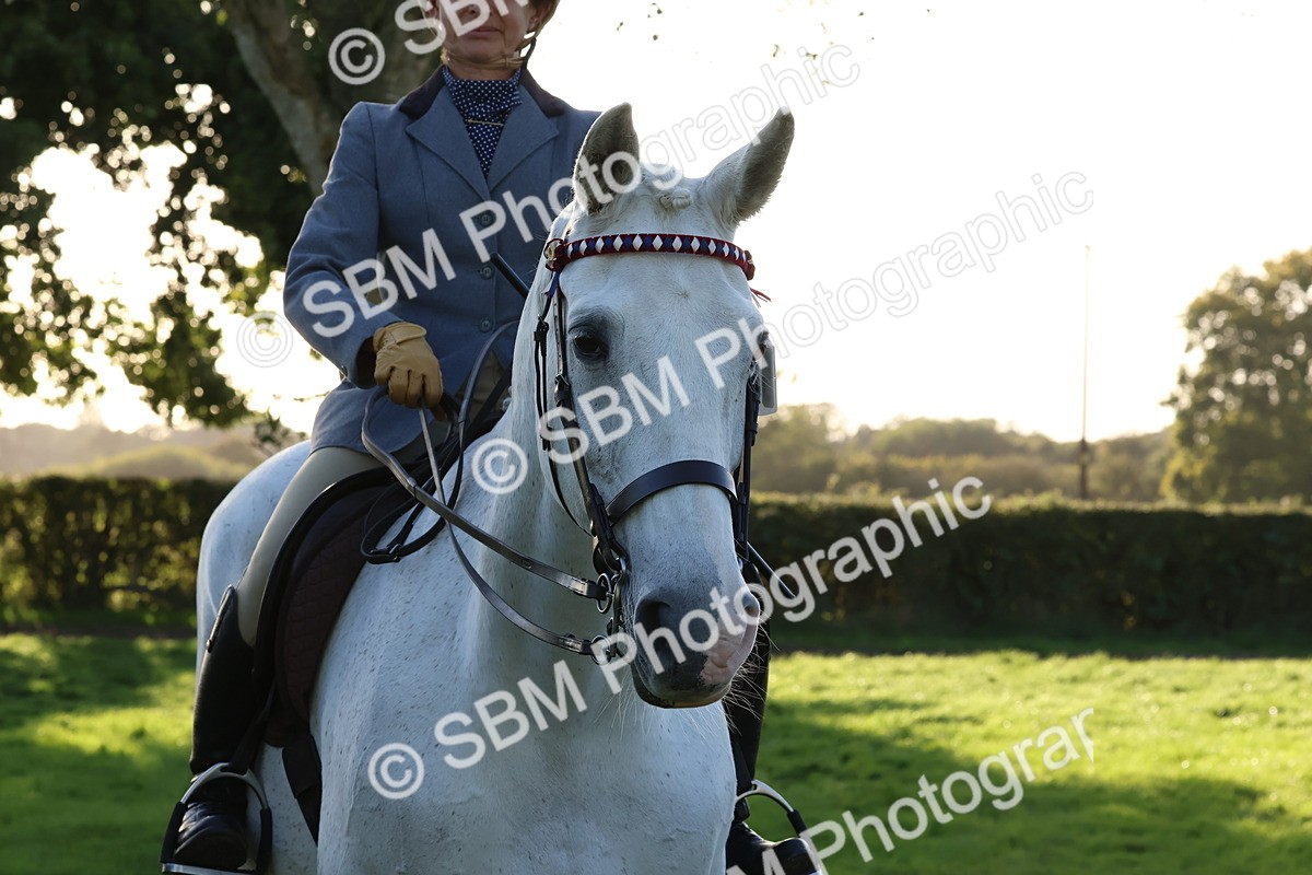 SBM_53080 - S29 - Mature Veteran Ridden