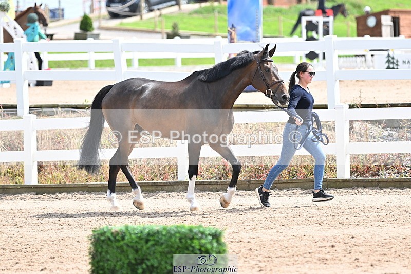 240717A-144642-02286 - Trot Up 2pm to 3pm - This folder is not in time order