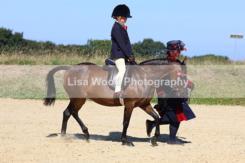 3E7A8053 - Class 15: Lead Rein