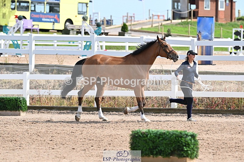 240717A-160136-03264 - Trot Up 4pm to 5pm