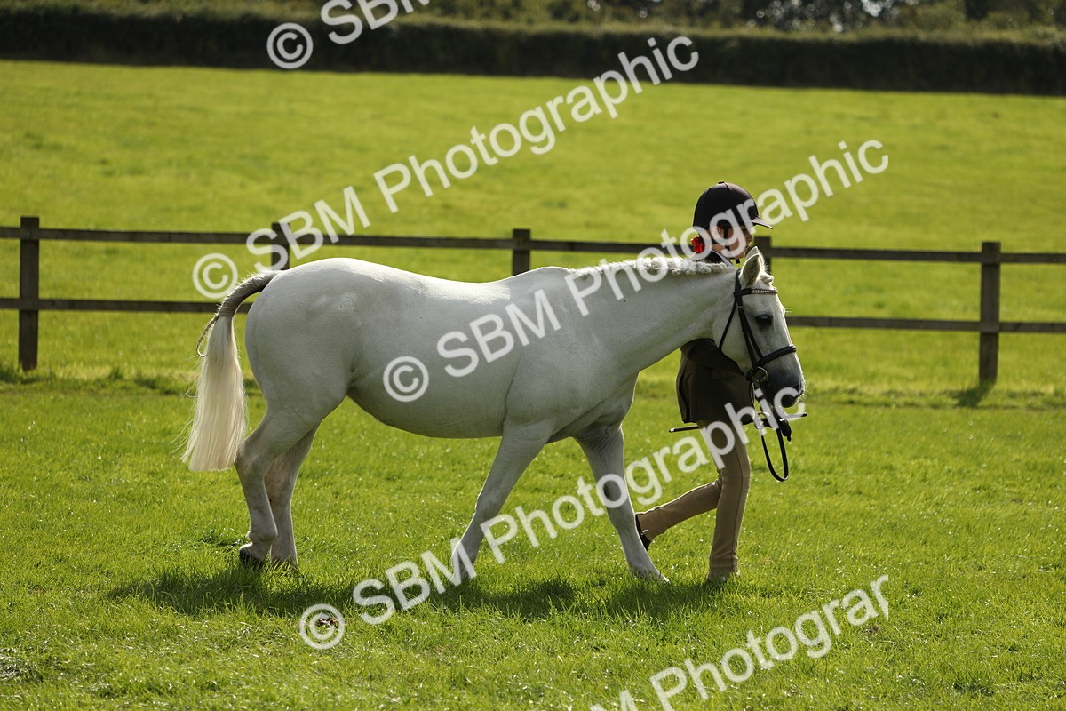 SBM_68558 - S40 - Junior Handler 9-12 Years