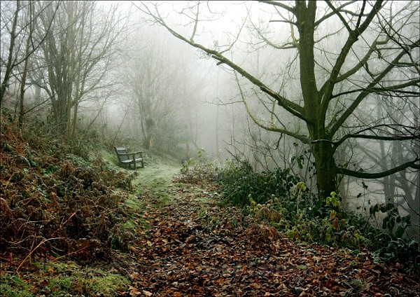 A Winter Walk - The Malvern Hills
