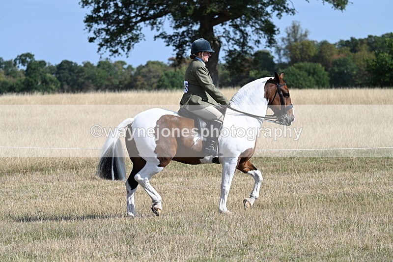WJ7_2811 - Class 8 Ridden Tack & Turnout
