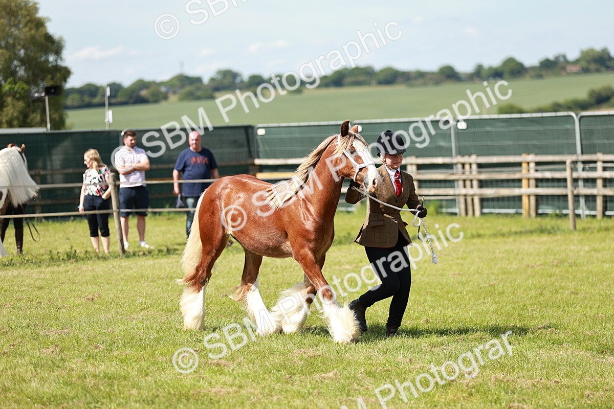 SBM_08633 - Class 63-65 - Traditional Gypsy Cobs In Hand & Ridden