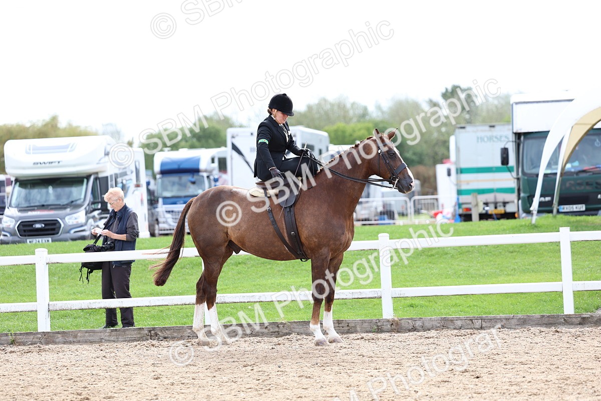 SBM_03443 - Class 24 - SSA Concours d'elegance (any age)