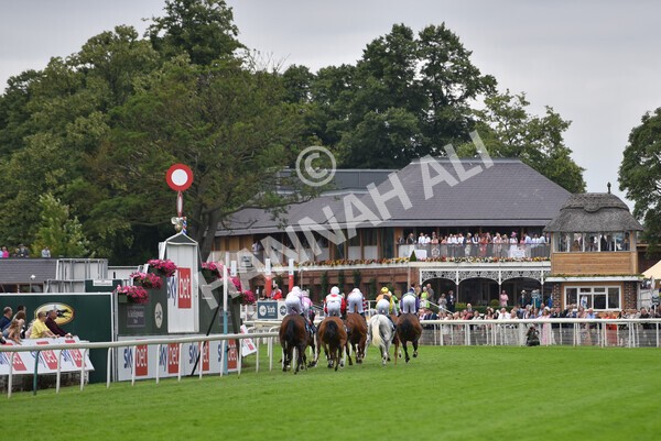 yr24072021r5-46 - Race 5 4.25pm Sky Bet Best Odds Guaranteed Stakes