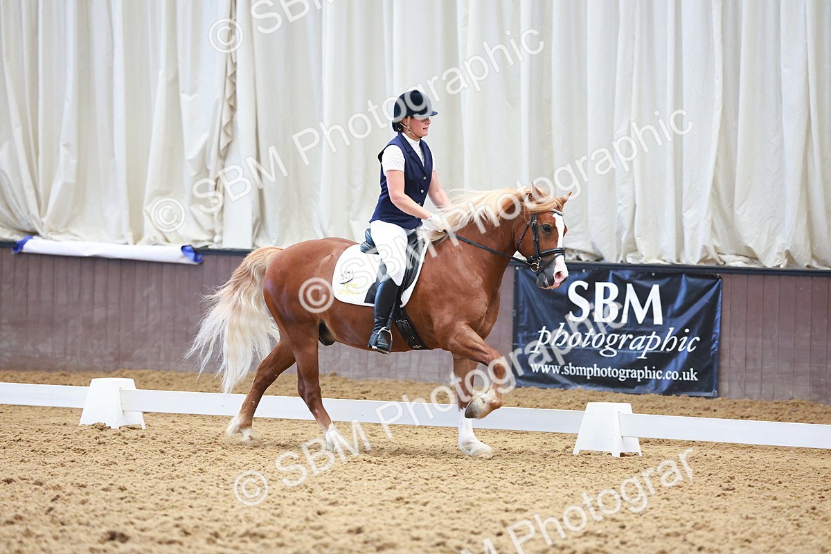 SBM_009005 - Prelim 5 - 8.30-9.47