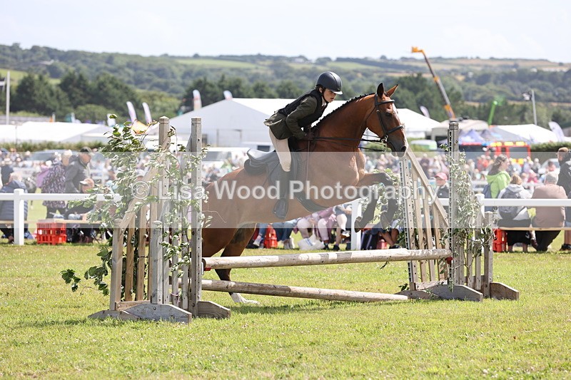 JPP_2070 - Class 19: Working Hunter 60cm