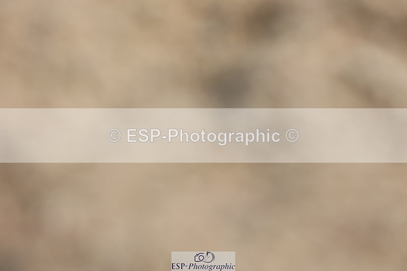 250620-103516-00452 - BD Cls 9 - Freestyle Elementary