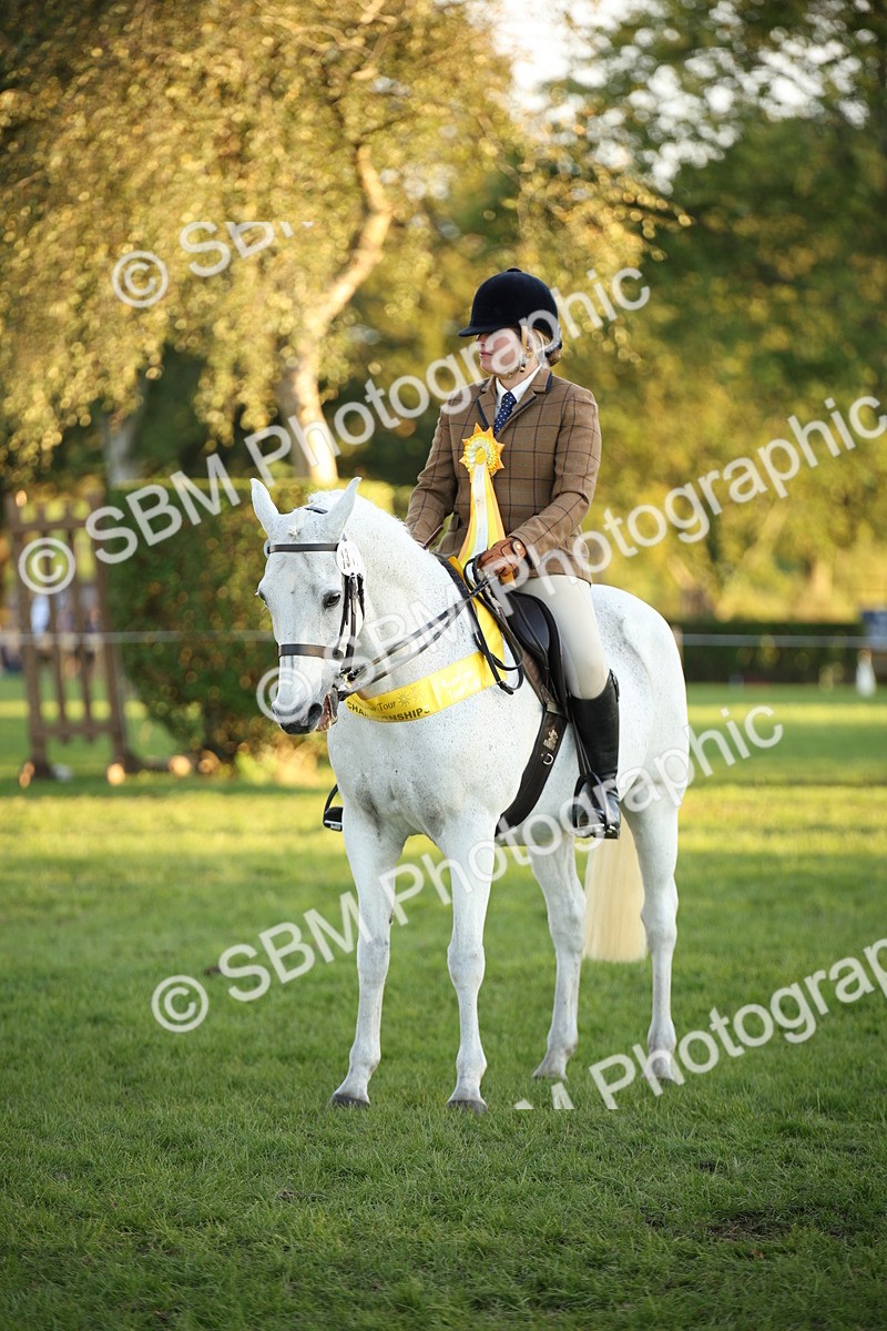 SBM_57050 - Veteran Supreme Championship