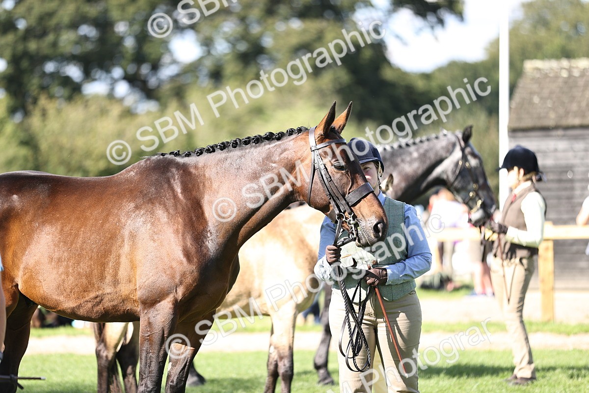 SBM_26229 - S5 - Novice & Newcomers In Hand