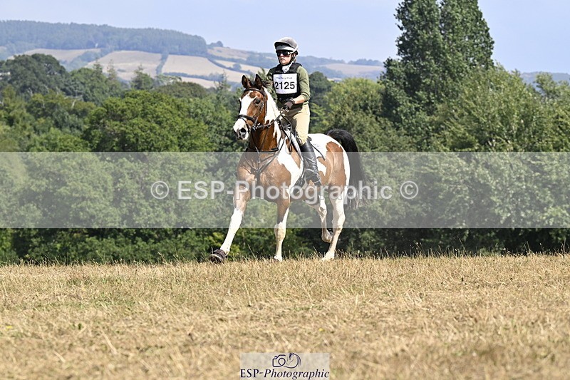 250824A-144019-38050 - 2125-Hen.Jeanes-Painted.proper