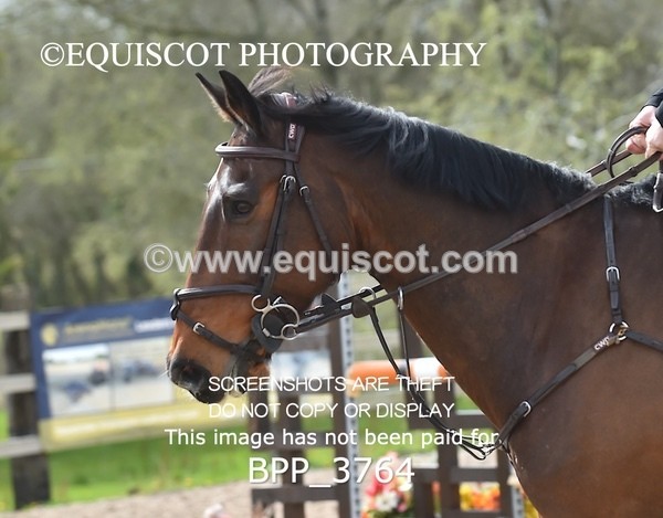 BPP_3764 - CLASS 3 Senior Discovery/ 1m Open