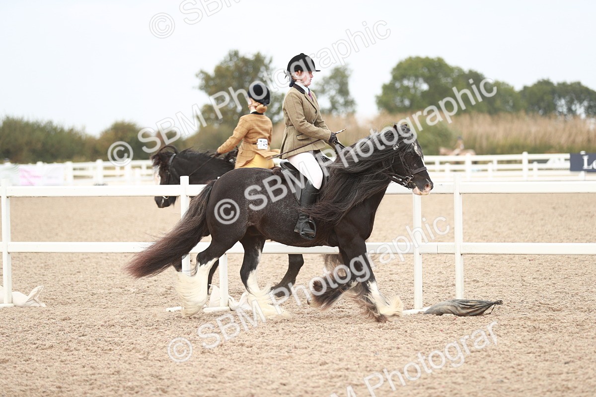 SBM_16636 - Class 214 Ridden Cob