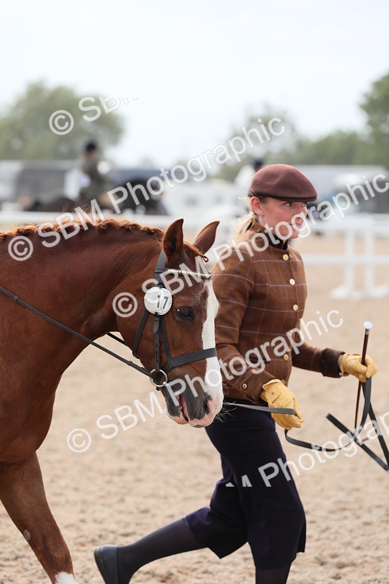 SBM_16888 - Class 314 Family Horse/Pony