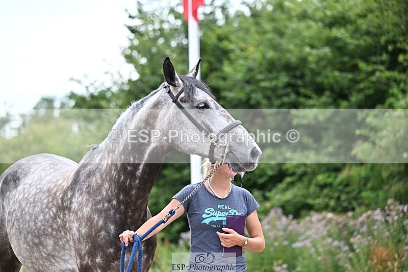 250716-135727-00716 - Trot Up 1.30 to 2.30