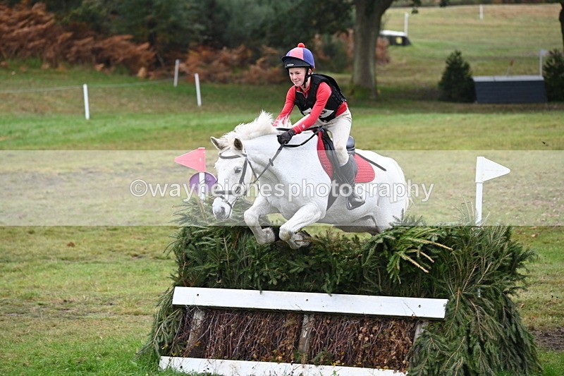 WJ6_2680 - 80cm Cam 1 Time 11:23 to 12:04