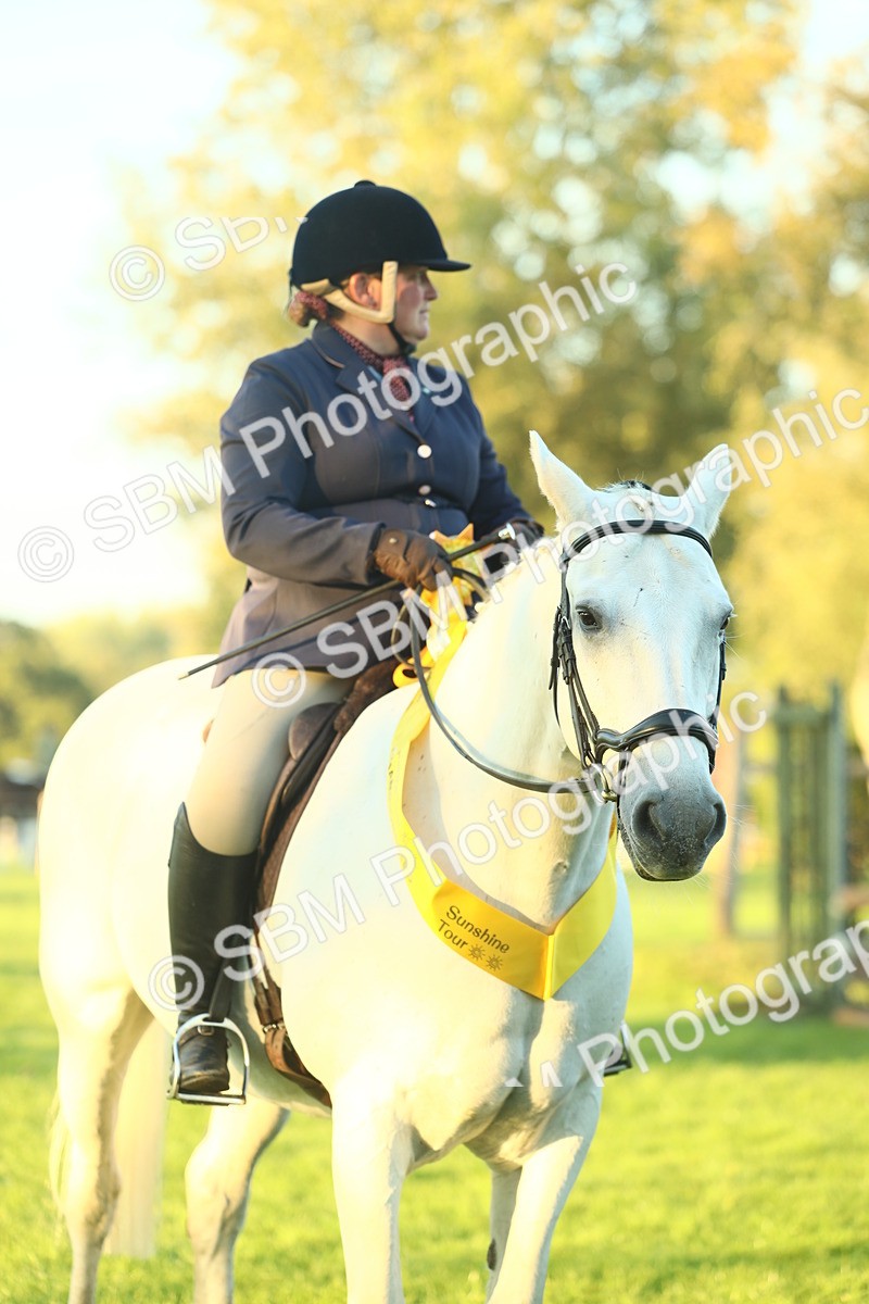 SBM_56519 - S14 - Riding Club Horse