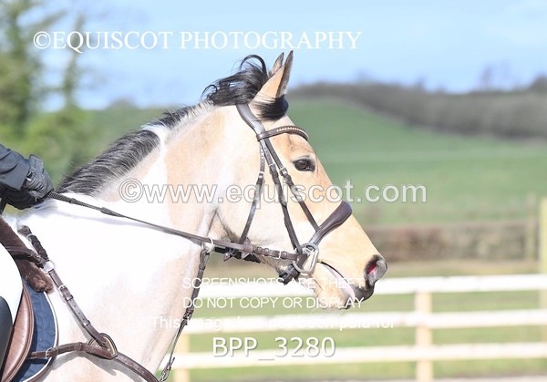 BPP_3280 - CLASS 2  Club/ Unaffiliated 80cms Open