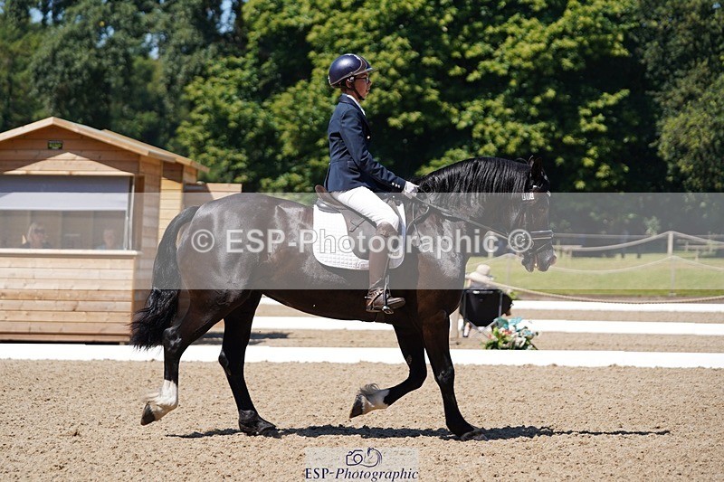 240719-112848-01143 - 282-Edward_Collis-Eglwysfach_Blodwen