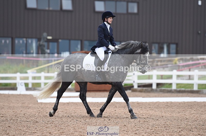 230708A-103712-01409 - Prelim 7