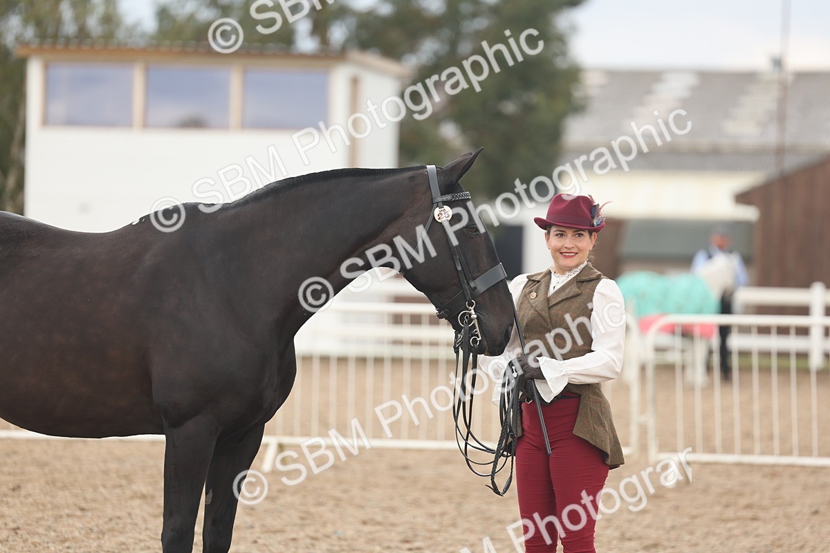 SBM_07866 - Class 28 - IH Veteran Horse