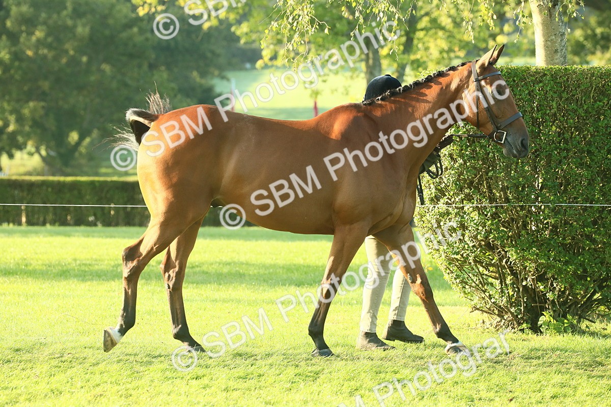 SBM_57310 - S37 - Starters In Hand Showing