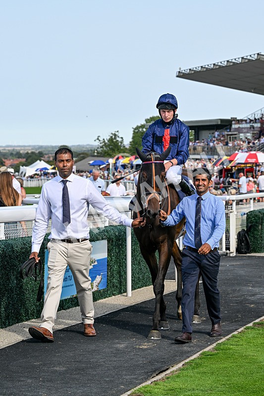 130826-Race 5-Wardlaw-9539 - Race 5 16.15pm Middle Distance Handicap