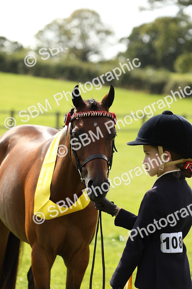 SBM_66330 - In Hand Pony & Youngstock Supreme Championship