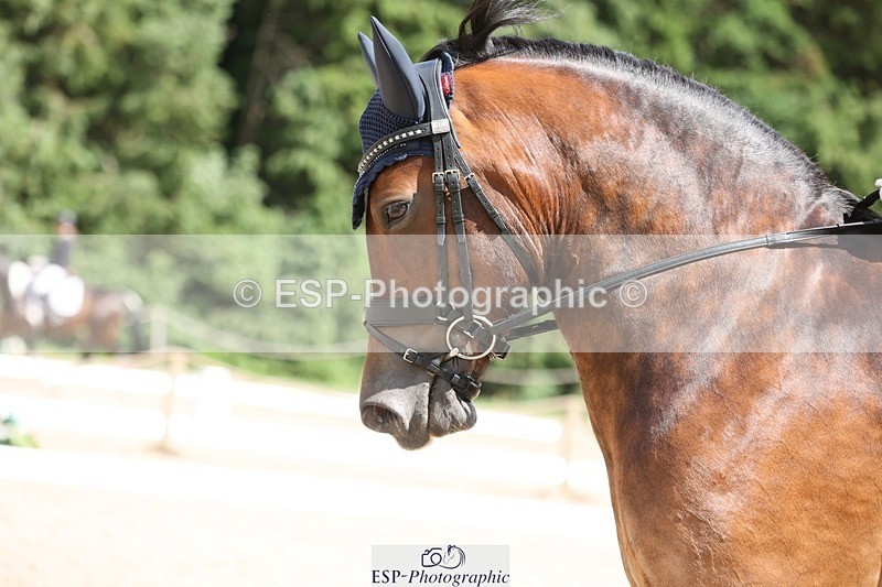 240721-151653-09673 - 300-Alison_Crimp-Crwys_Beau
