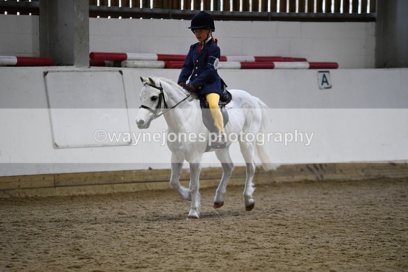 WJ5_7217 - Class 11 Ridden PC - RC Pony