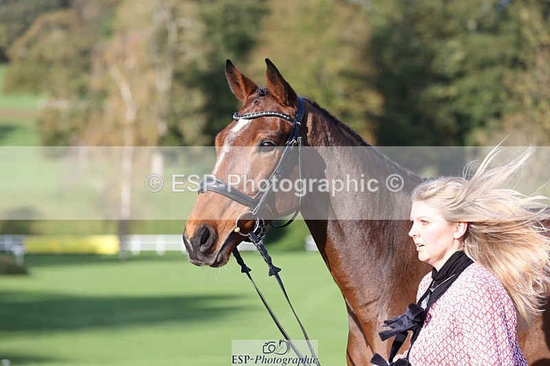 241027-101318-15752 - 557-Clara.Edwards-PIRATE.CITY