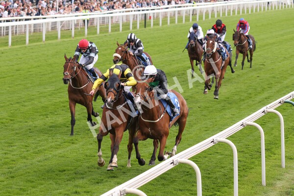 yr10062022r7-22 - Race 7 5.10pm Andy Thornton Hospitality Furniture Stakes