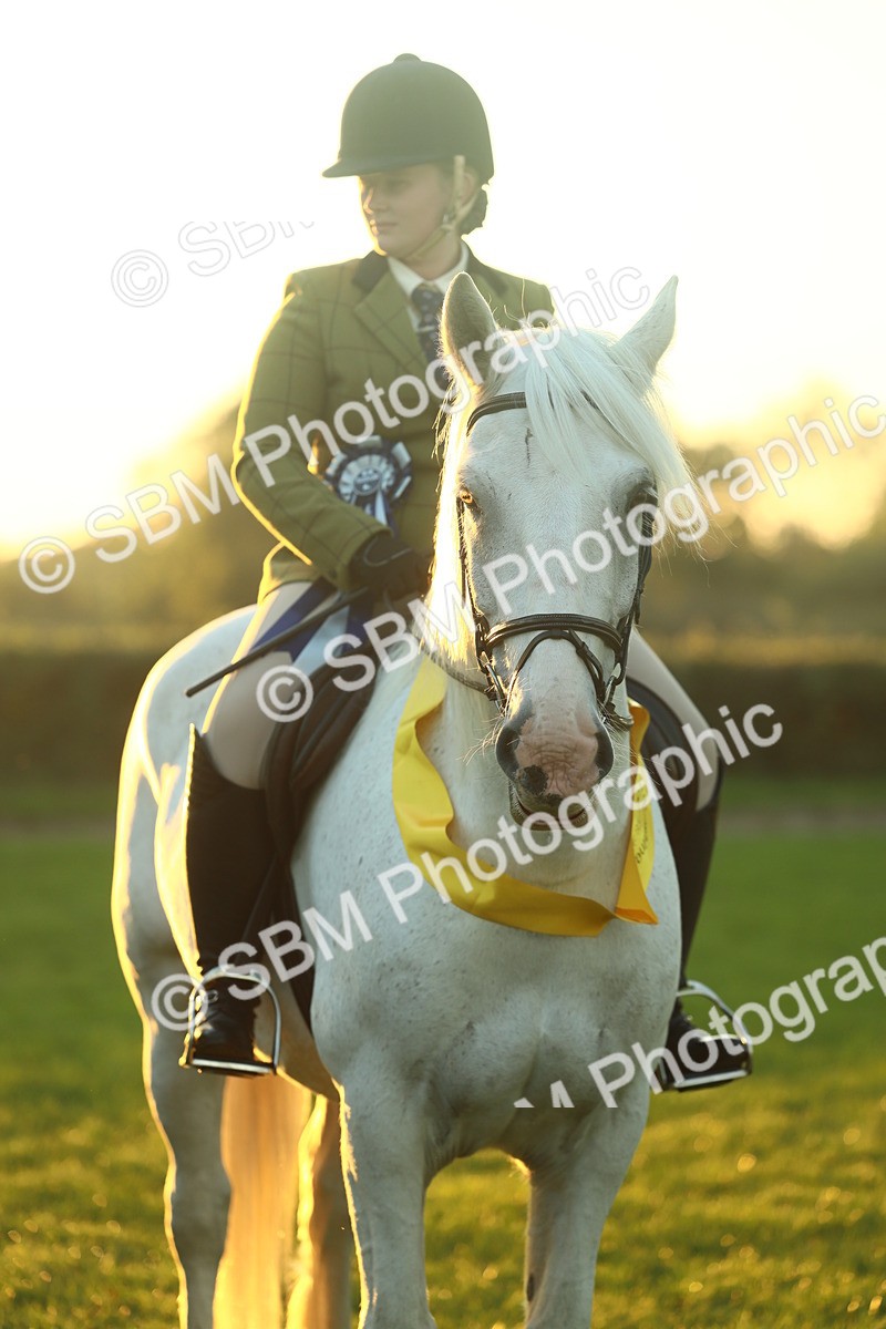 SBM_56706 - Fun & Versatile Supreme Championship